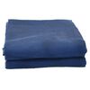 vidaXL Tappeto da Tenda Blu 4x2,5 m
