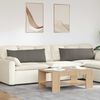 vidaXL Cuscini da Divano 2 pcs Grigio chiaro 120 x 40 cm