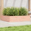 vidaXL Fioriera da Giardino 100x100x23 cm Legno Massello di Douglas