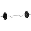 vidaXL Set Bilanciere con Dischi 60 kg in Ghisa e Acciaio Cromato
