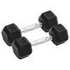 vidaXL Manubri 2 pz 5 kg Totale in Ghisa