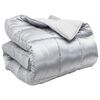 vidaXL Duvet Invernale Argento 240 x 260 cm Satin e Micropile