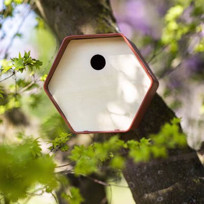 Capi Casetta per Uccelli Hive 1 19x23x20 cm Marrone