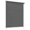 vidaXL Tenda a Rullo per Esterni 65(L)x230(A) cm Antracite