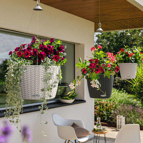 LECHUZA Fioriera Sospesa NIDO Cottage 35 ALL-IN-ONE Granito