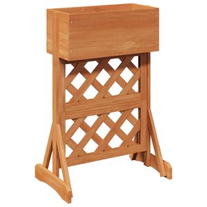 vidaXL Trellis da Giardino Verticale Arancione 48 x 30 x 70,5 cm