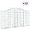vidaXL Cesti Gabbioni ad Arco 40 pz 200x30x100/120 cm Ferro Zincato