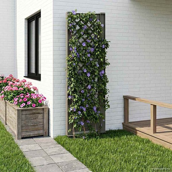 Visualizzazione immagine prodotto 2 di 7