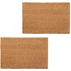 vidaXL Set Zerbini in Fibra di Cocco 2 pz 24 mm 40x60 cm Naturale