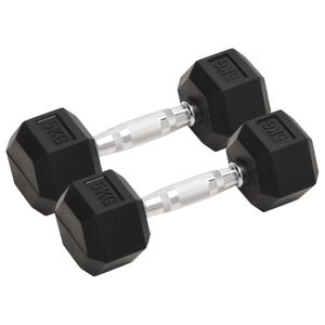 vidaXL Manubri 2 pz 10 kg Totale in Ghisa