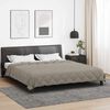 vidaXL Duvet Estivo Grigio chiaro 220 x 260 cm Microfibra