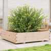 vidaXL Fioriera da Giardino 100x100x26,5 cm in Legno Massello di Pino