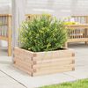 vidaXL Fioriera da Giardino 50x50x23 cm in Legno Massello di Pino