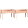 vidaXL Fioriere da Giardino 2 pz con Gambe Legno Massello di Douglas