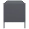 vidaXL Mobile TV Antracite 68x39x43,5 cm in Acciaio Laminato a Freddo