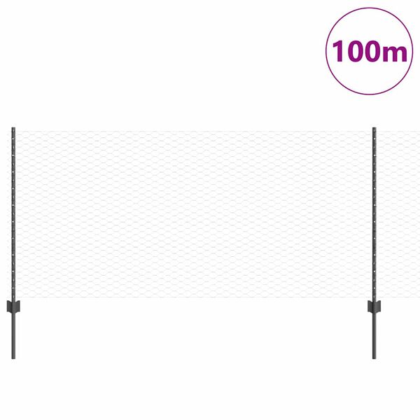 Visualizzazione immagine prodotto 3 di 14