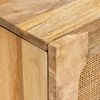 vidaXL Credenza Marrone 40 x 33 x 75 cm Legno di mango massello
