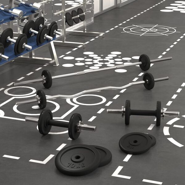 vidaXL Set Bilanciere e Manubri con Dischi 60 kg in Ghisa