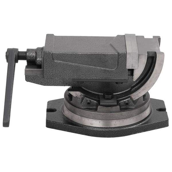 vidaXL Morsa Inclinabile a 2 Assi 100 mm
