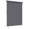 vidaXL Tenda a rullo Rigato Antracite 200 x 250 cm Tessuto e Alluminio