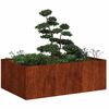 vidaXL Fioriera Arrugginita 120x80x40 cm in Acciaio Corten