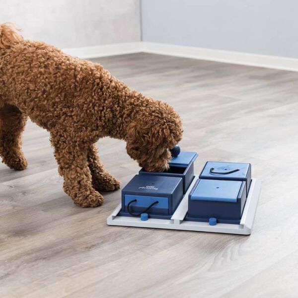 TRIXIE Attivit&agrave; per Cani Poker Box 1 Gioco Strategia