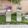 vidaXL Supporto per piante 2 pcs Argento 24 x 24 x 55 cm