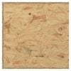 vidaXL Terrario in Legno Multistrato 80x40x40 cm