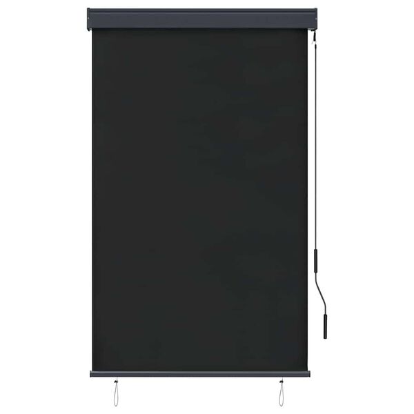 vidaXL Tenda a Rullo per Esterni 100x250 cm Antracite