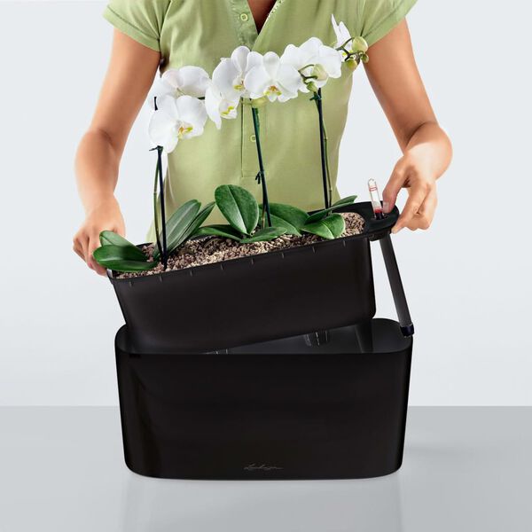 LECHUZA Fioriera da Tavolo Delta 20 ALL-IN-ONE Carbone Metallico 15563