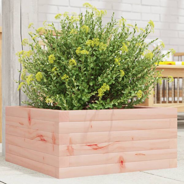 vidaXL Fioriera da Giardino 50x50x23 cm in Legno Massello di Douglas