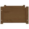 vidaXL Cuccia per Cani Ambra 55,5x45,5x28 cm Legno Massello di Pino