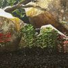 Immagine miniatura del prodotto 2 di 5