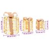 vidaXL Decorazione Scatola Regalo con 60 LED 3 pcs 20 x 20 x 20 cm PET