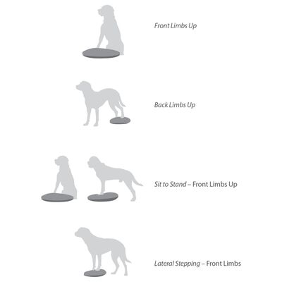 FitPAWS Disco per l'Allenamento dell'Equilibrio per Cani 56 cm Blu