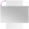 vidaXL Specchio da Bagno con Luci LED 60x100 cm
