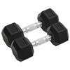 vidaXL Manubri 2 pz 8 kg Totale in Ghisa