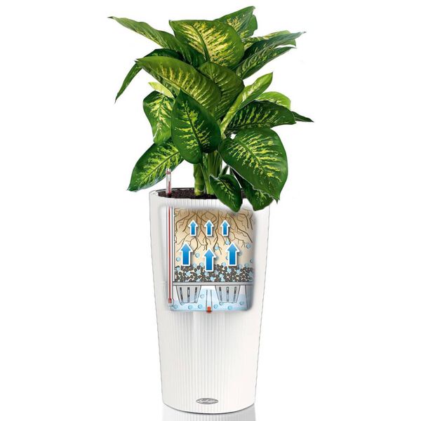 LECHUZA Fioriera Cilindro Color 32 ALL-IN-ONE Bianco 13950