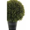 Emerald 2 pz Sfere di Bosso Artificiali 53 cm 417630