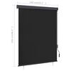 vidaXL Tenda a Rullo per Esterni 140x250 cm Antracite