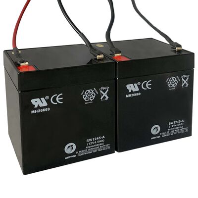 vidaXL Batterie di Ricambio per Scooter Elettrico 2 pz 12V 4,5Ah