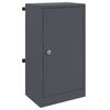 vidaXL cassetta postalepastkastei Antracite 30 x 20 x 55 cm Acciaio