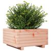 vidaXL Fioriera da Giardino 50x50x26,5 cm in Legno Massello di Douglas