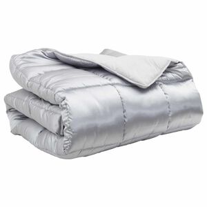 vidaXL Duvet Invernale Argento 220 x 200 cm Satin e Micropile