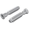 vidaXL Vite a testa cilindrica 2 pz Argento M7 x 40 mm Acciaio