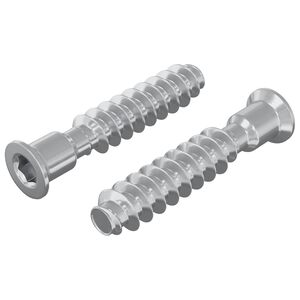 vidaXL Vite a testa cilindrica 2 pz Argento M7 x 40 mm Acciaio