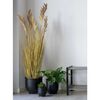 House Nordic Erba Artificiale Sorghum 110 cm Naturale