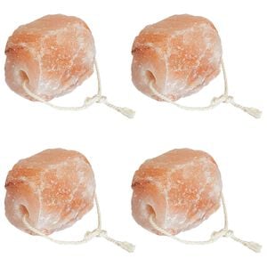 vidaXL Pietre di Sale da Leccare 4 pz Rosa Sale Rock