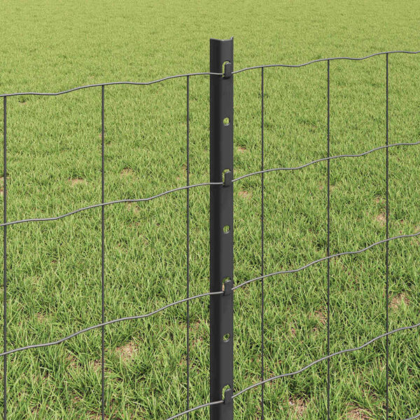 Visualizzazione immagine prodotto 4 di 13