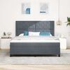 vidaXL Letto a molle con testiera Grigio scuro 180 x 200 cm Velluto